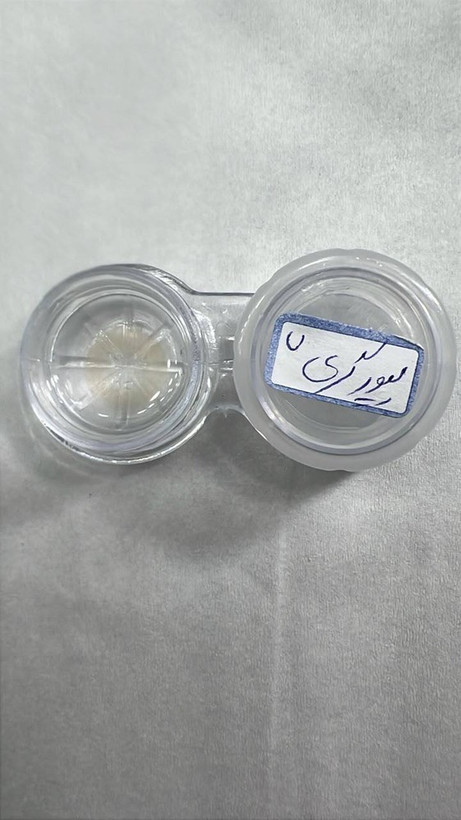 لنز سالانه نمره دار رنگی طوسی عسلی خاکی پیورگری یونیک